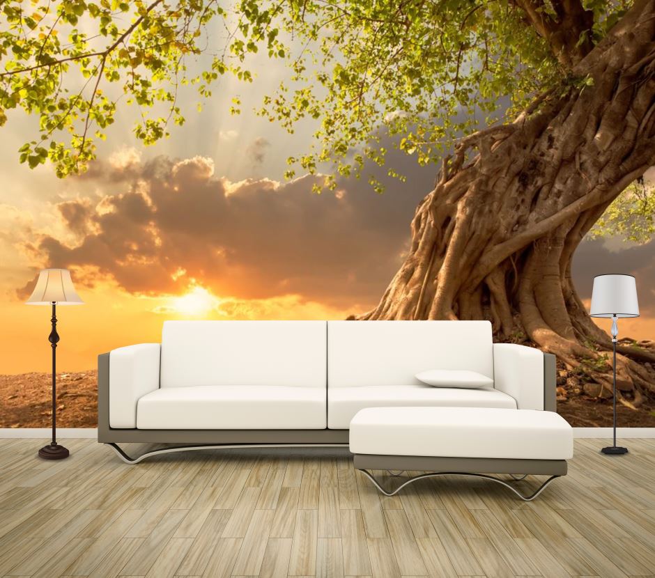 Wallpaper Murals Peel and Stick Removable Huge Tree at Sunset Photograph High Quality