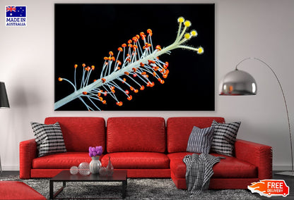Hibiscus Flower Pollen Closeup Photograph Print 100% Australian Made