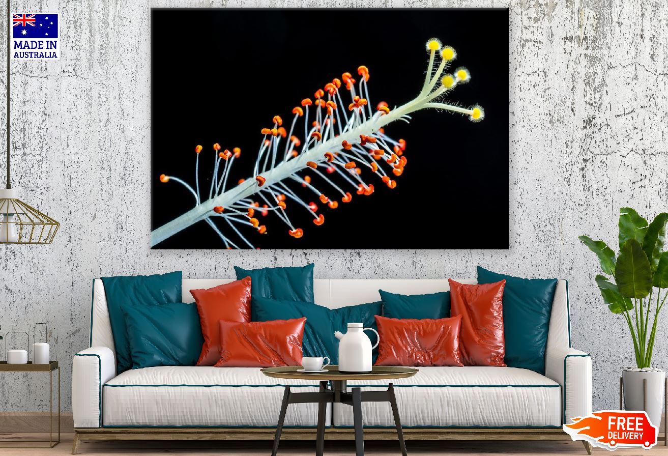 Hibiscus Flower Pollen Closeup Photograph Print 100% Australian Made