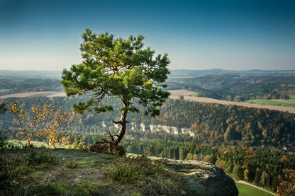 Alone Jaw Tree On Mountain Photograph Print 100% Australian Made