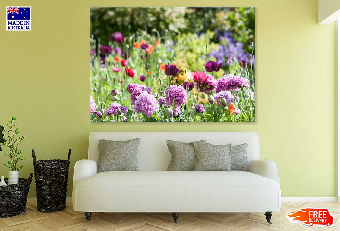 Flowers Garden View Photograph Print 100% Australian Made