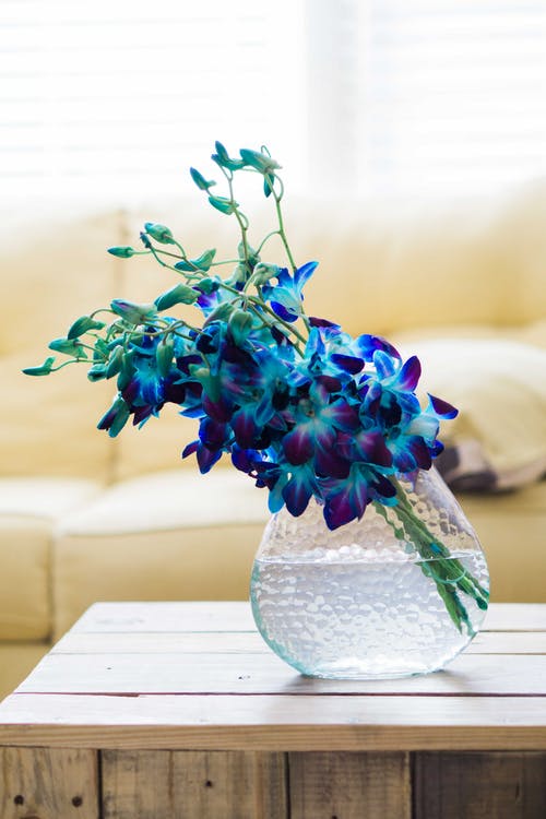 Blue & Purple Flowers Vase Photograph Print 100% Australian Made