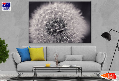 Dandelion Top View Closeup Photograph Print 100% Australian Made