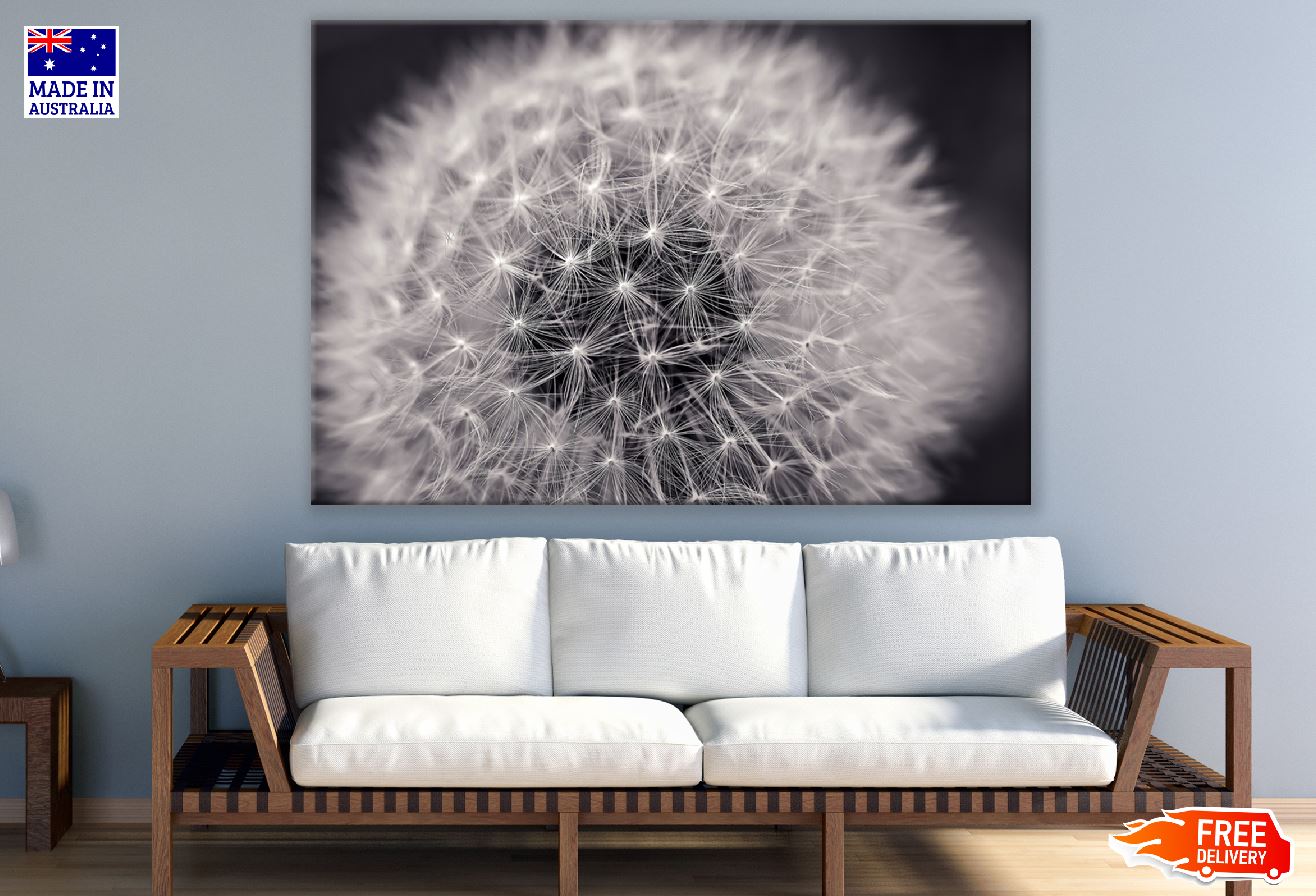 Dandelion Top View Closeup Photograph Print 100% Australian Made