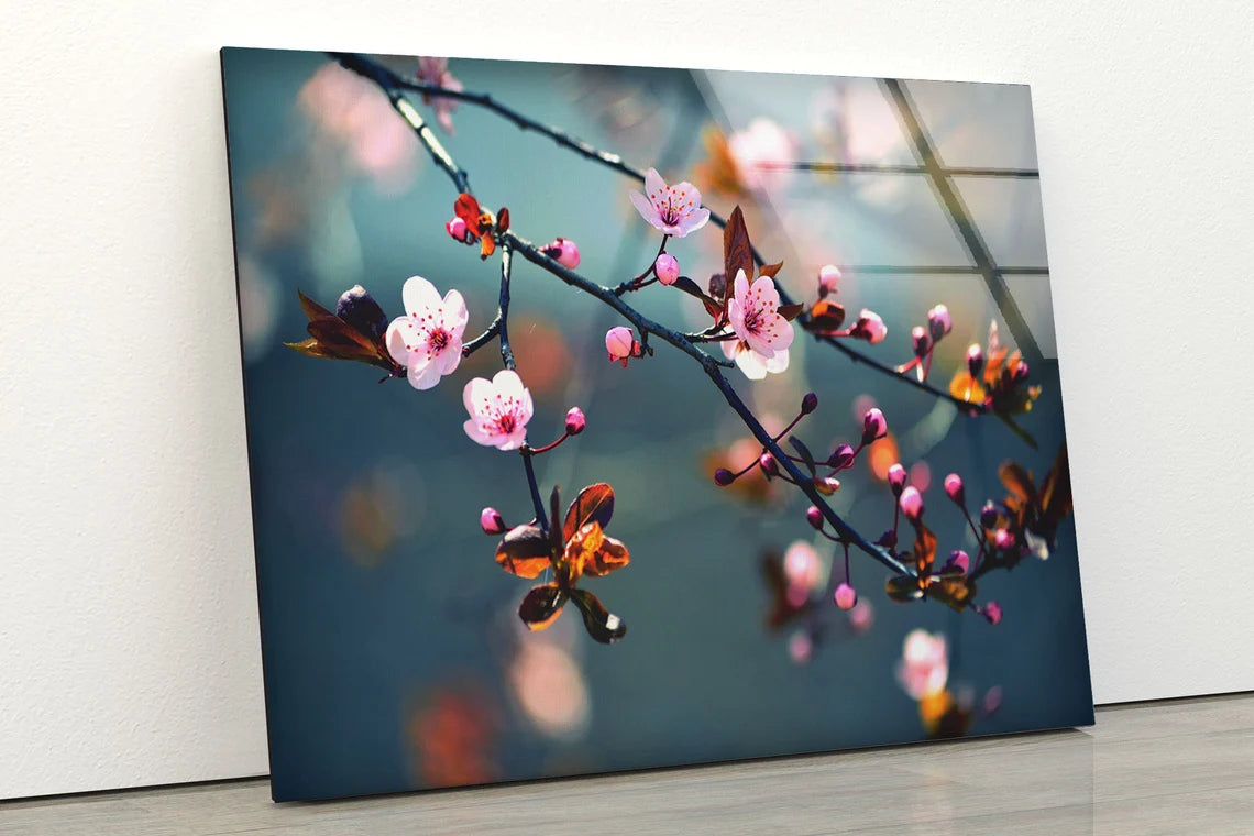 Blossom Flower Tree Photograph Acrylic Glass Print Tempered Glass Wall Art 100% Made in Australia Ready to Hang