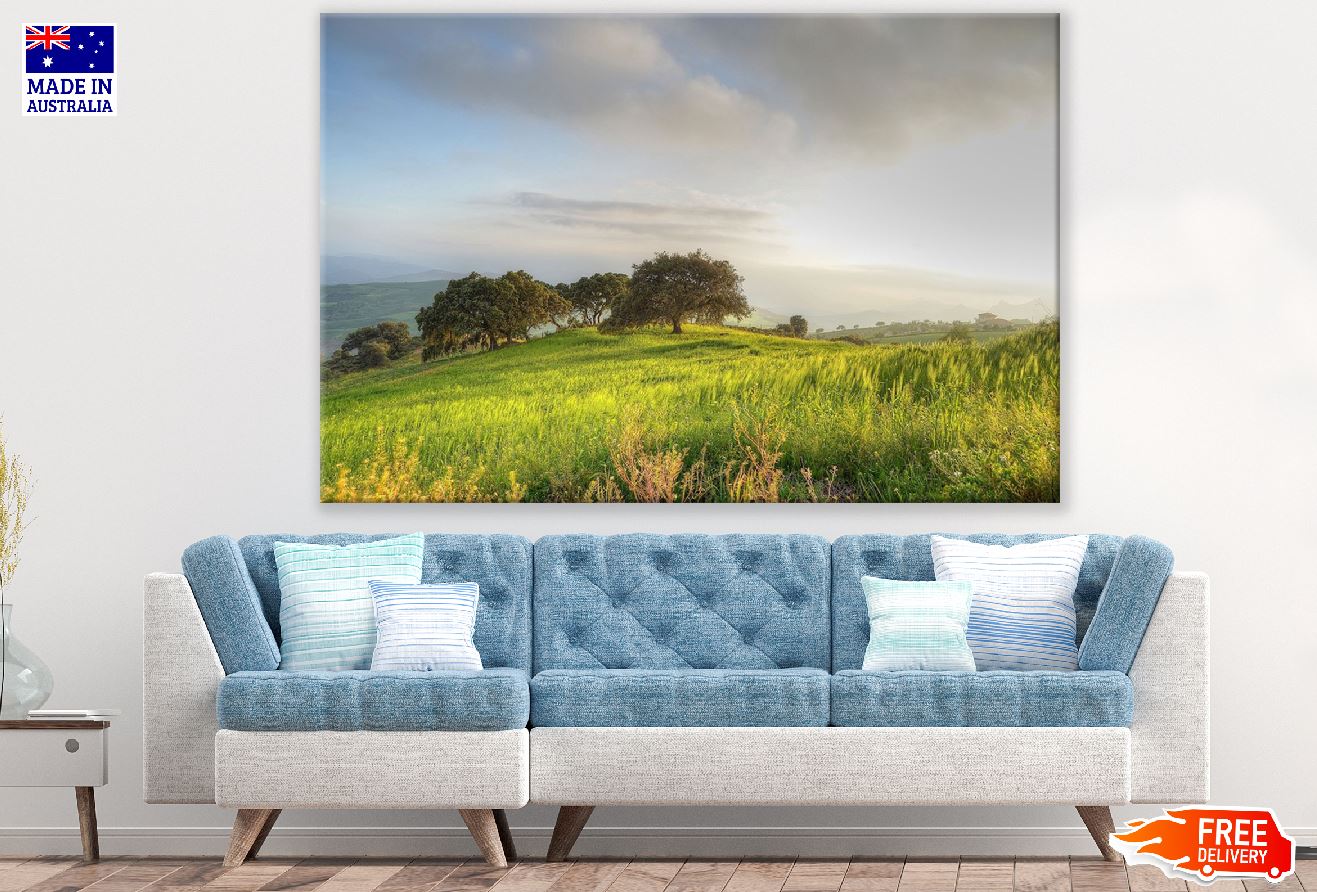 Trees on Green Grass Field Photograph Print 100% Australian Made