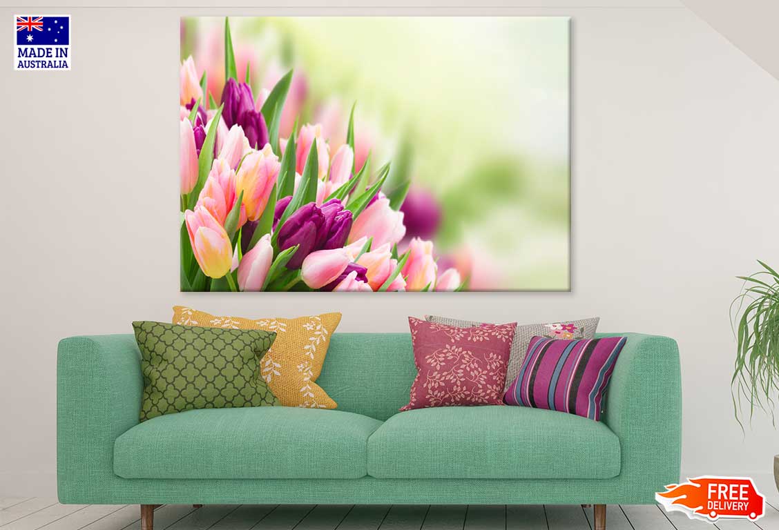 Pink & Maroon Tulip Flowers View Photograph Print 100% Australian Made