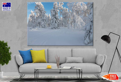 Snow Covered Trees Photograph Print 100% Australian Made