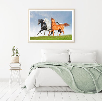 Running Horses Photograph Home Decor Premium Quality Poster Print Choose Your Sizes
