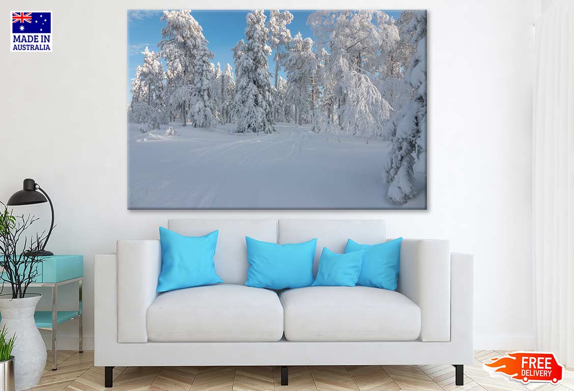 Snow Covered Trees Photograph Print 100% Australian Made