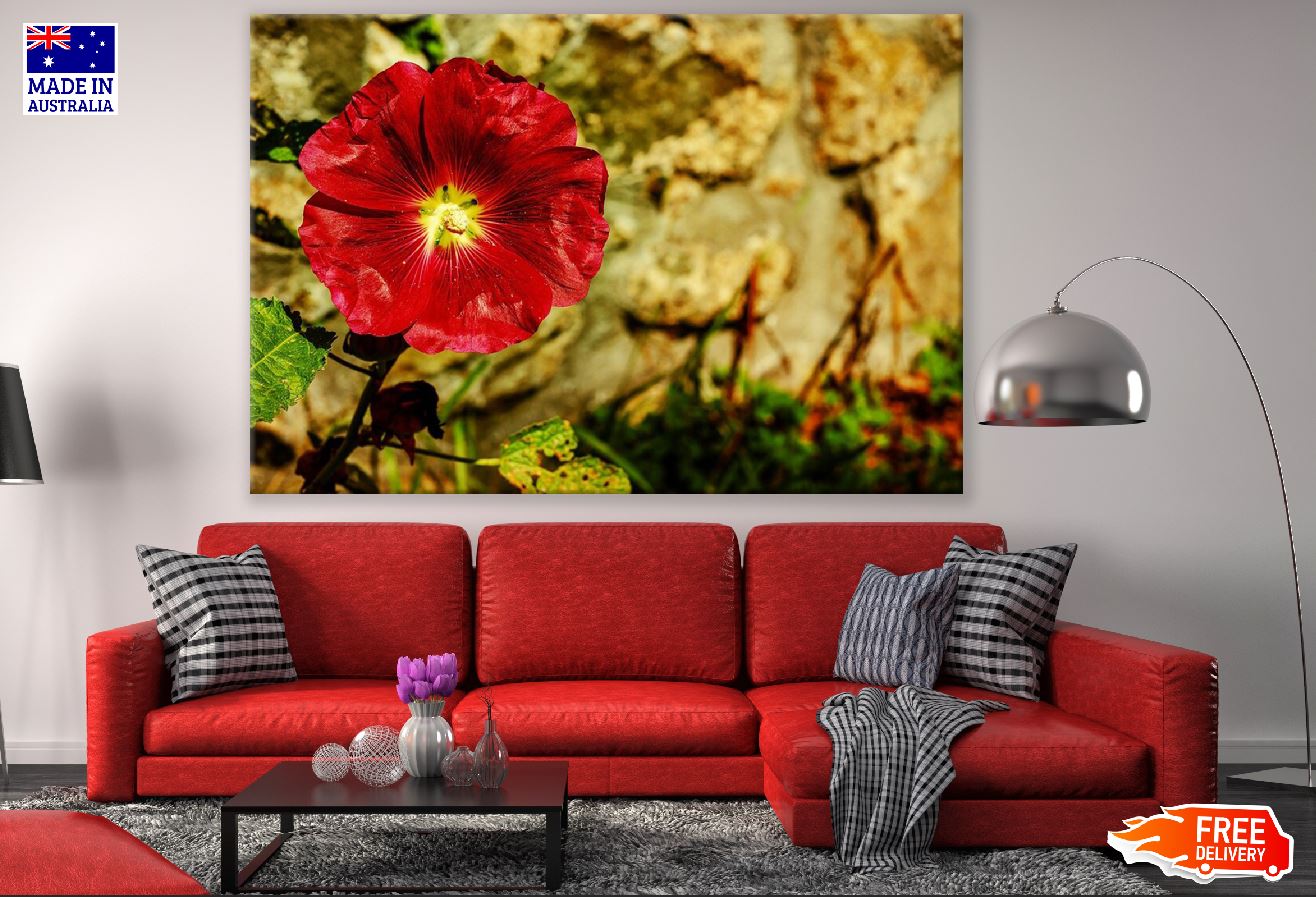 Red Hollyhock Flower Closeup Photograph Print 100% Australian Made