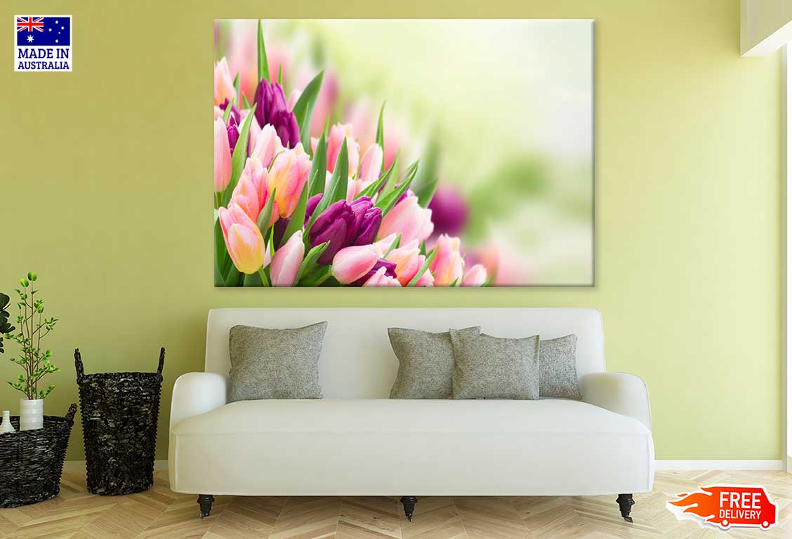 Pink & Maroon Tulip Flowers View Photograph Print 100% Australian Made