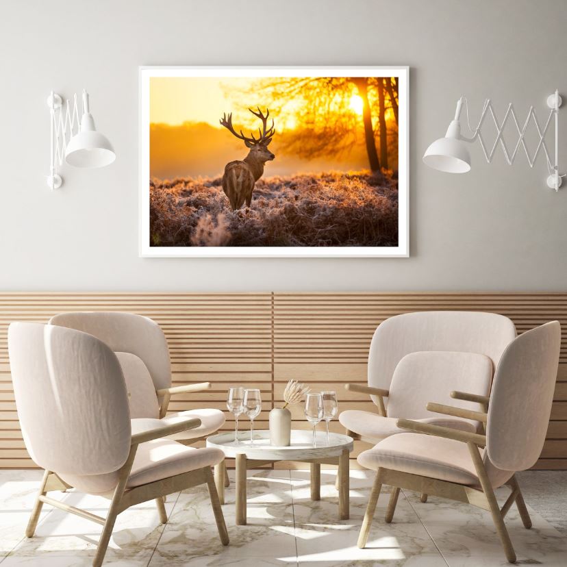 Deer on Flower Field Sunset Scenery Photograph Home Decor Premium Quality Poster Print Choose Your Sizes