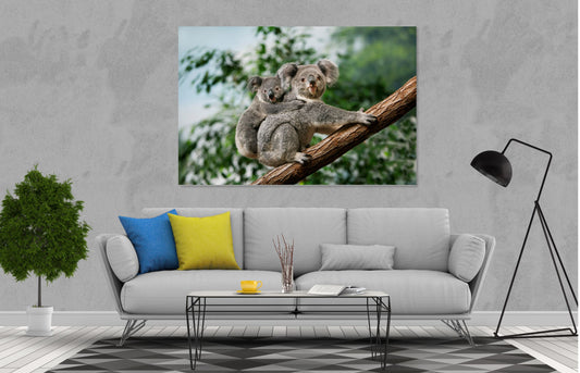 Lovely Koala Print 100% Australian Made