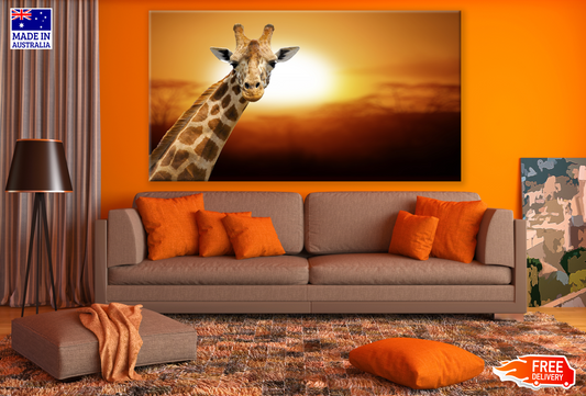 Giraffe Portrait in Sunset Photograph Print 100% Australian Made