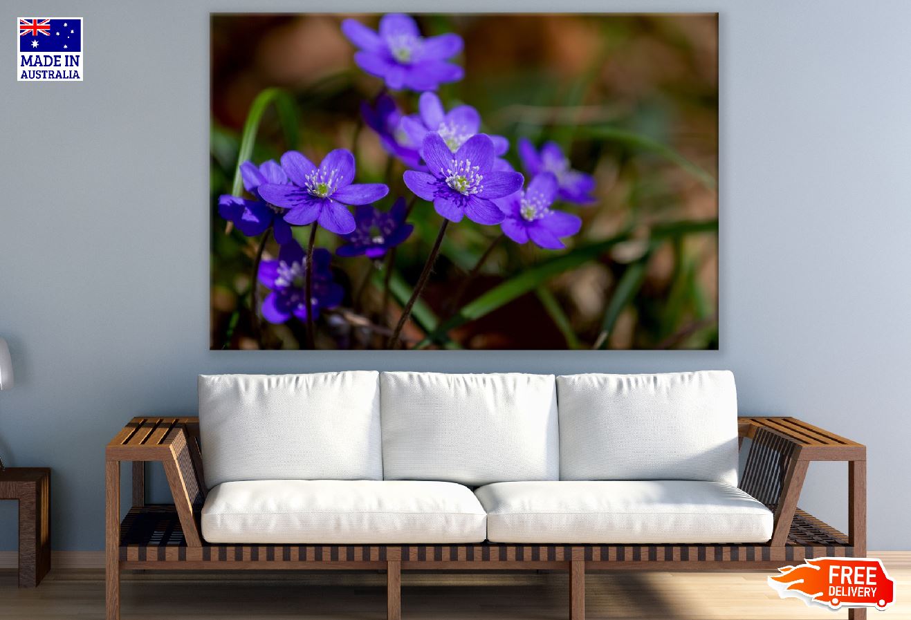 Blue Kidneywort Flower Closeup Photograph Print 100% Australian Made
