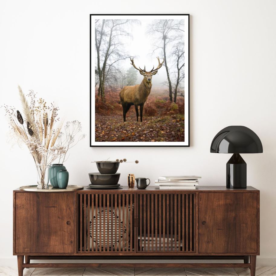 Deer in Forest Photograph Home Decor Premium Quality Poster Print Choose Your Sizes
