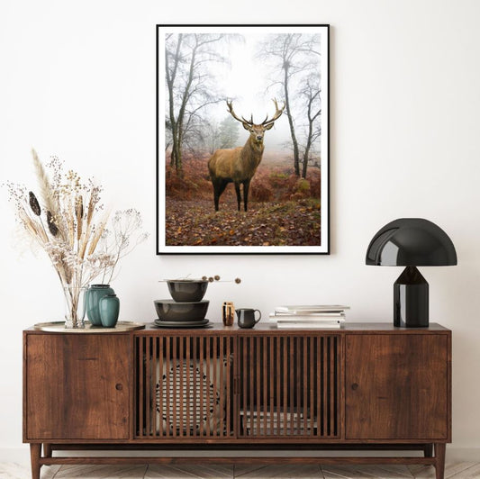 Deer in Forest Photograph Home Decor Premium Quality Poster Print Choose Your Sizes