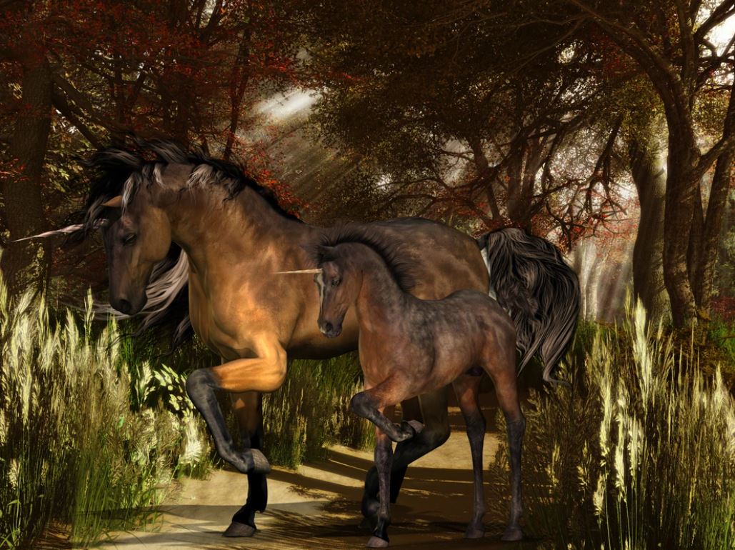 Unicorns in Forest Digital Art Home Decor Premium Quality Poster Print Choose Your Sizes