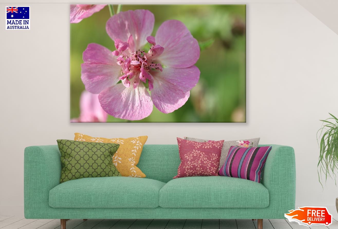 Pink Hollyhock Flower Closeup Photograph Print 100% Australian Made