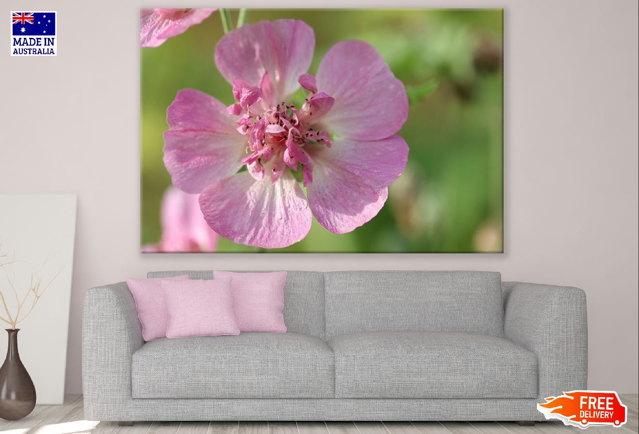 Pink Hollyhock Flower Closeup Photograph Print 100% Australian Made