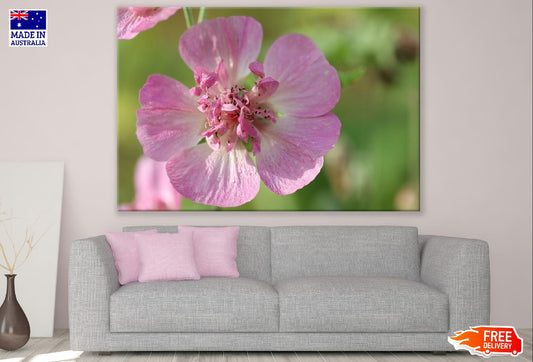 Pink Hollyhock Flower Closeup Photograph Print 100% Australian Made