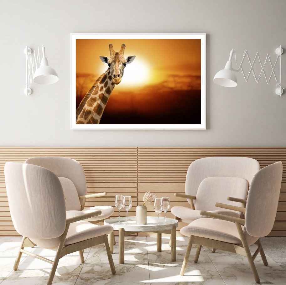 Giraffe Face Portrait Photograph Home Decor Premium Quality Poster Print Choose Your Sizes