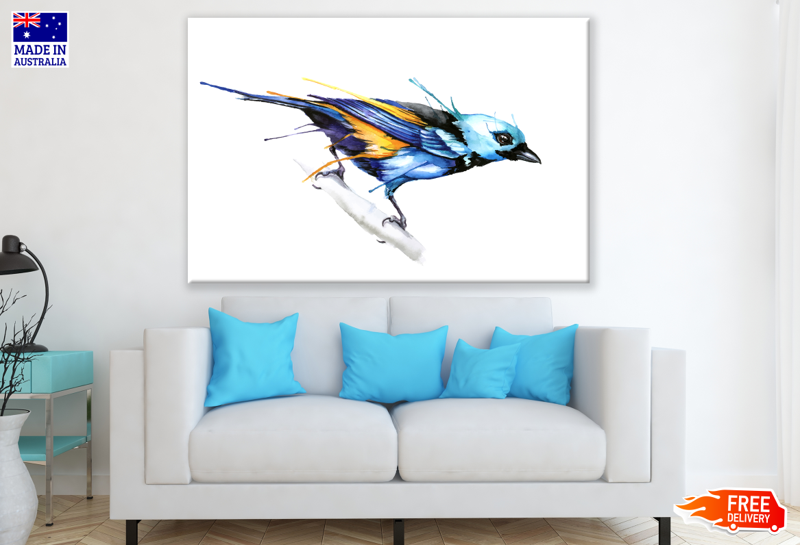 Blue Jay Bird Painting Print 100% Australian Made