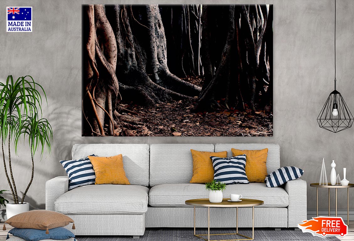 Deep Forest Trees Closeup Photograph Print 100% Australian Made