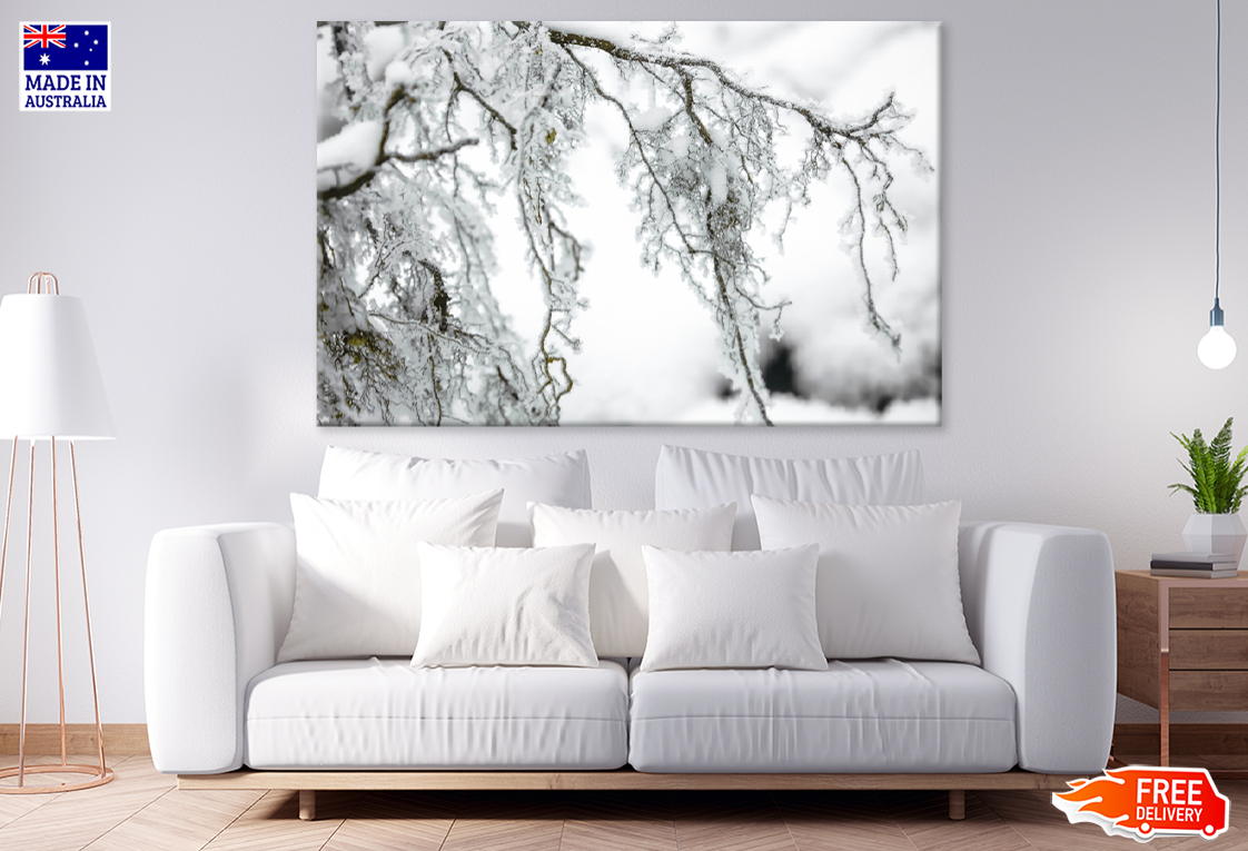 Snow Covered Tree B&W Photograph Print 100% Australian Made