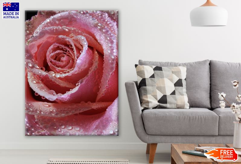 Rose Flower Closeup Photograph Print 100% Australian Made