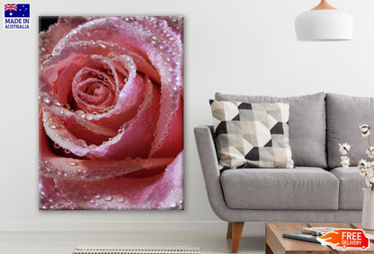 Rose Flower Closeup Photograph Print 100% Australian Made