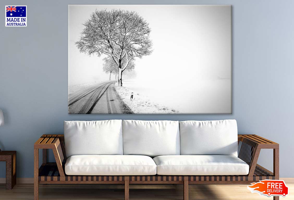 Snow Covered Trees & Road Photograph Print 100% Australian Made