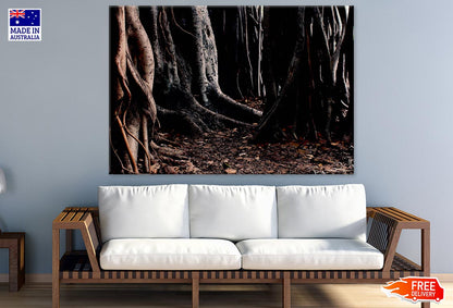 Deep Forest Trees Closeup Photograph Print 100% Australian Made