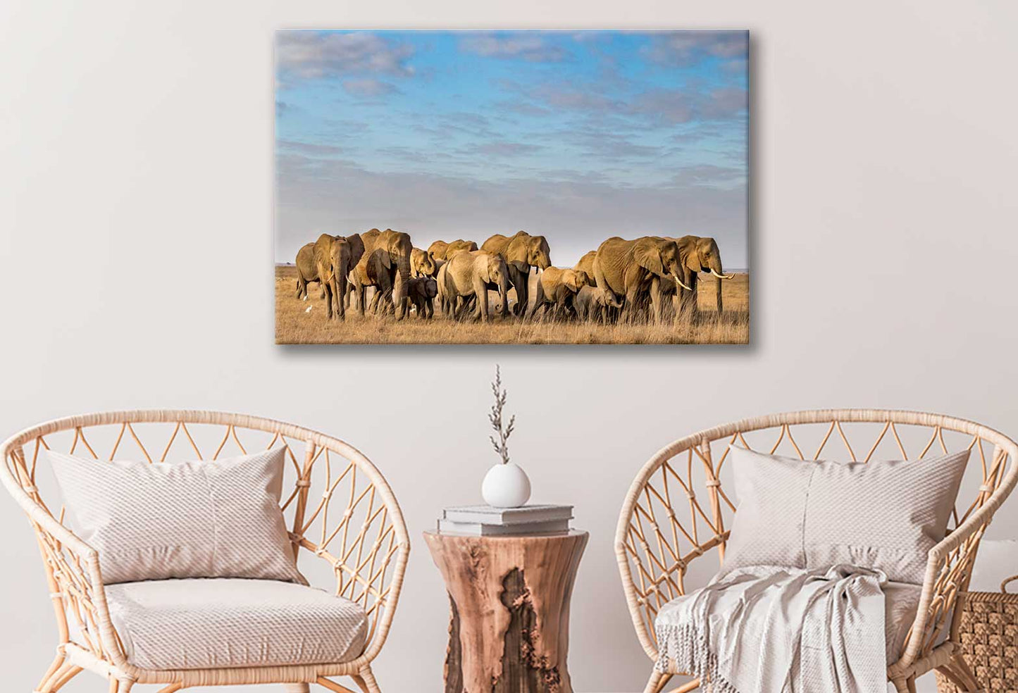 Bella Home Elephants on The Grass Field Print Canvas Ready to hang