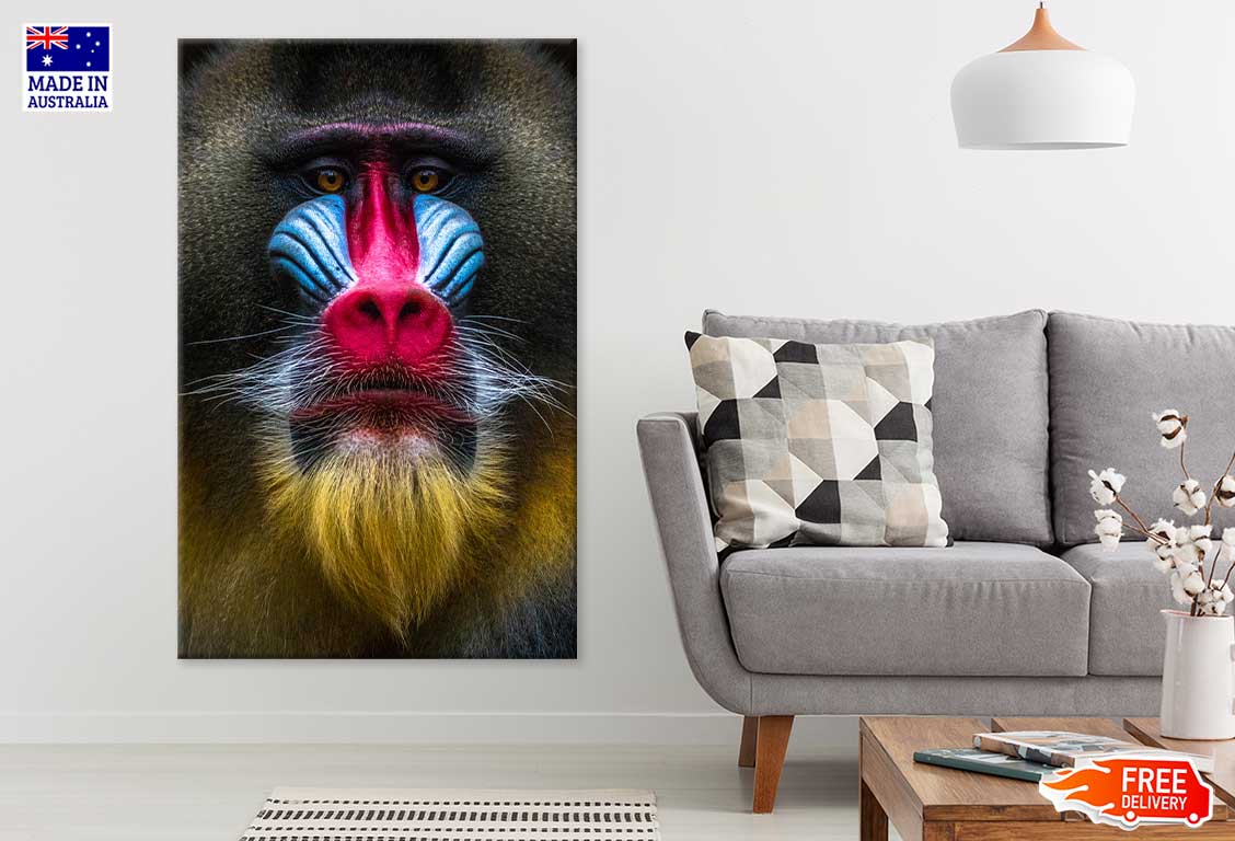 Colorful Baboon Closeup View Photograph Print 100% Australian Made