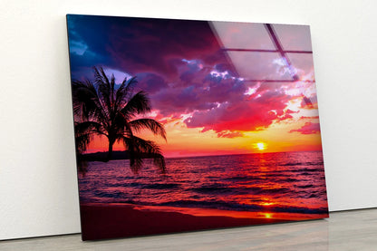 Palm Tree Near Sea Sunset Photograph Acrylic Glass Print Tempered Glass Wall Art 100% Made in Australia Ready to Hang