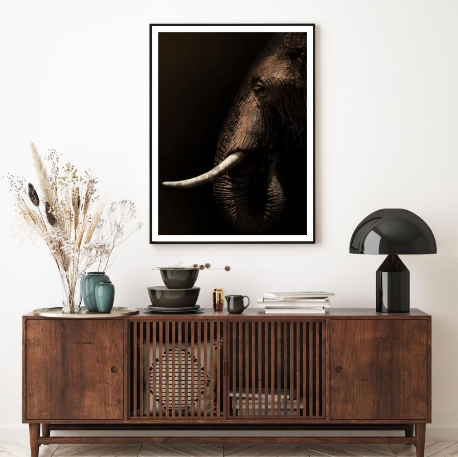 Elephant Portrait Closeup Photograph Home Decor Premium Quality Poster Print Choose Your Sizes