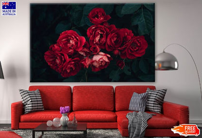 Red Flower Plant Closeup Photograph Print 100% Australian Made