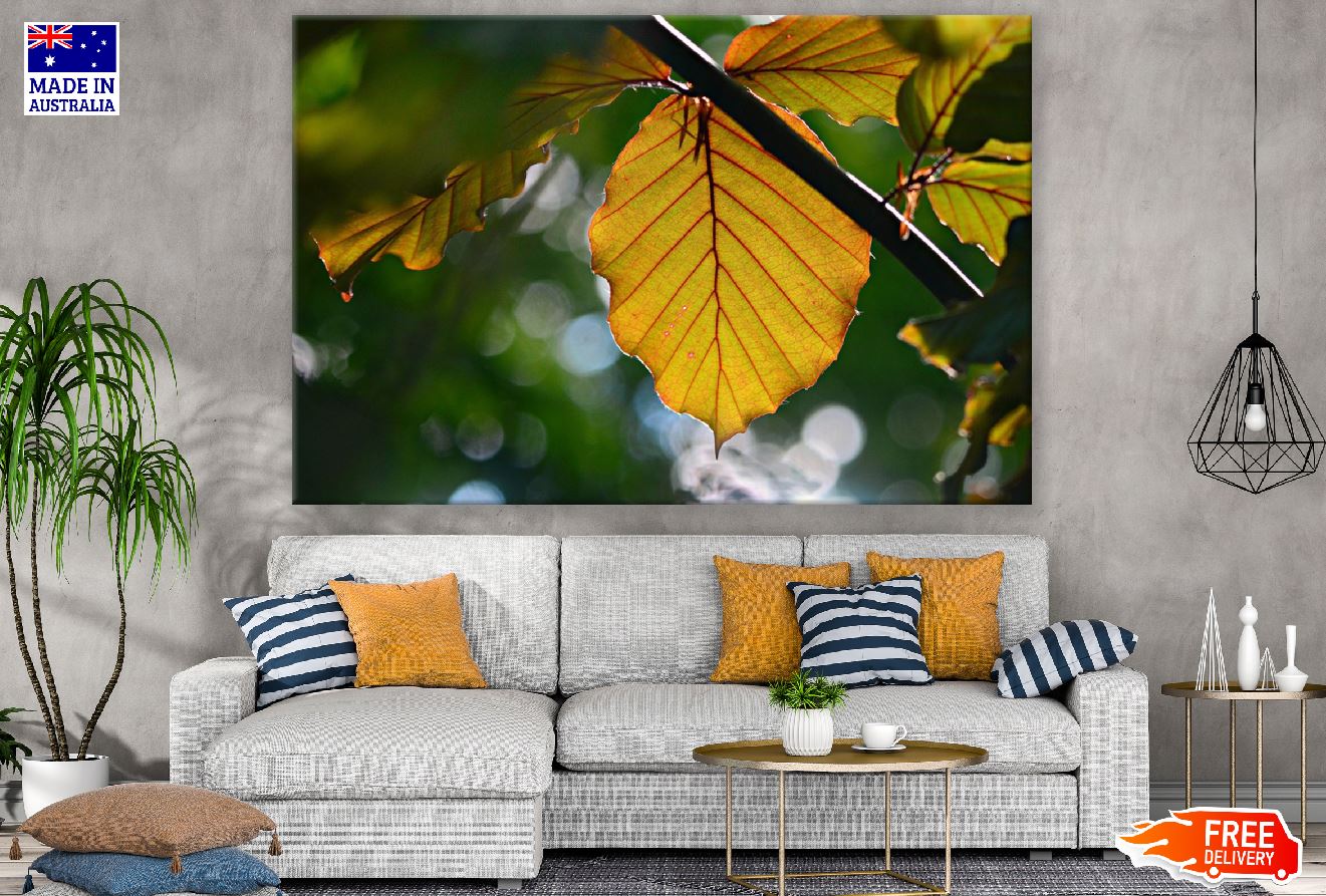 Autumn Leaf Photograph Print 100% Australian Made