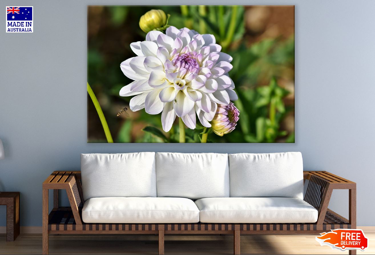 White Dahlia Flower with Plant Photograph Print 100% Australian Made
