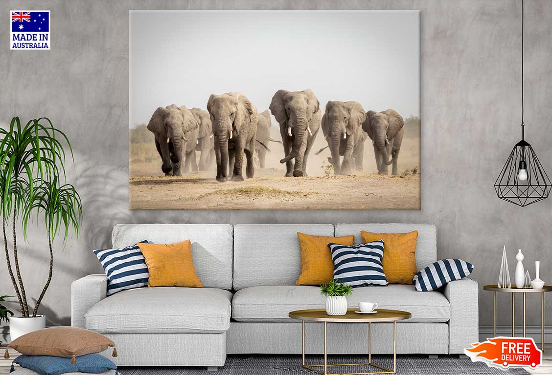 Elephants Walking on Dusty Road Photograph Print 100% Australian Made