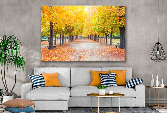 Bella Home Autumn Trees & Leaves Pathway Print Canvas Ready to hang