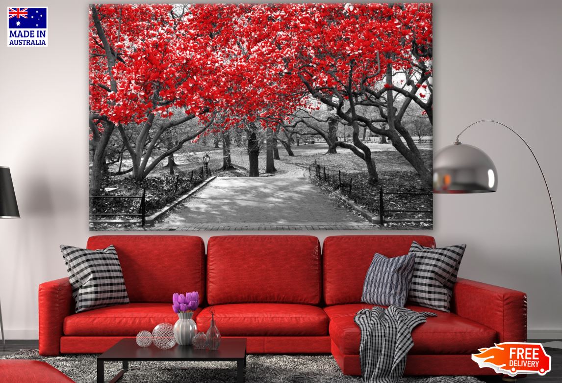 B&W Trees with Red Leaves Photograph Print 100% Australian Made