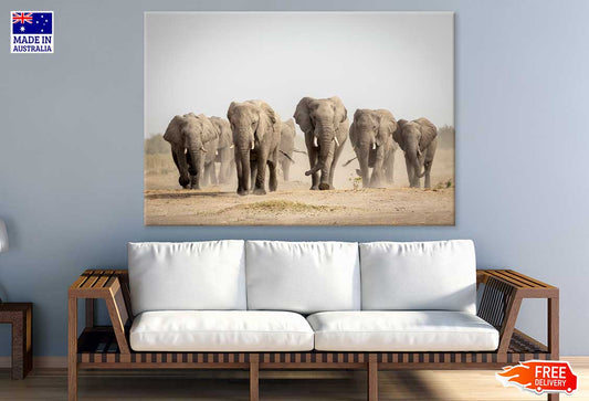 Elephants Walking on Dusty Road Photograph Print 100% Australian Made