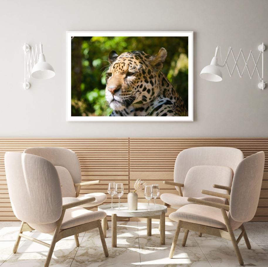 Leopard Face Portrait Photograph Home Decor Premium Quality Poster Print Choose Your Sizes