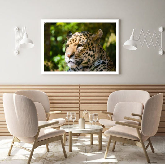 Leopard Face Portrait Photograph Home Decor Premium Quality Poster Print Choose Your Sizes