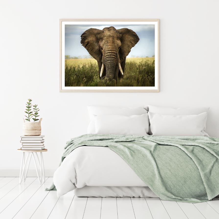 Elephant on Field Photograph Home Decor Premium Quality Poster Print Choose Your Sizes