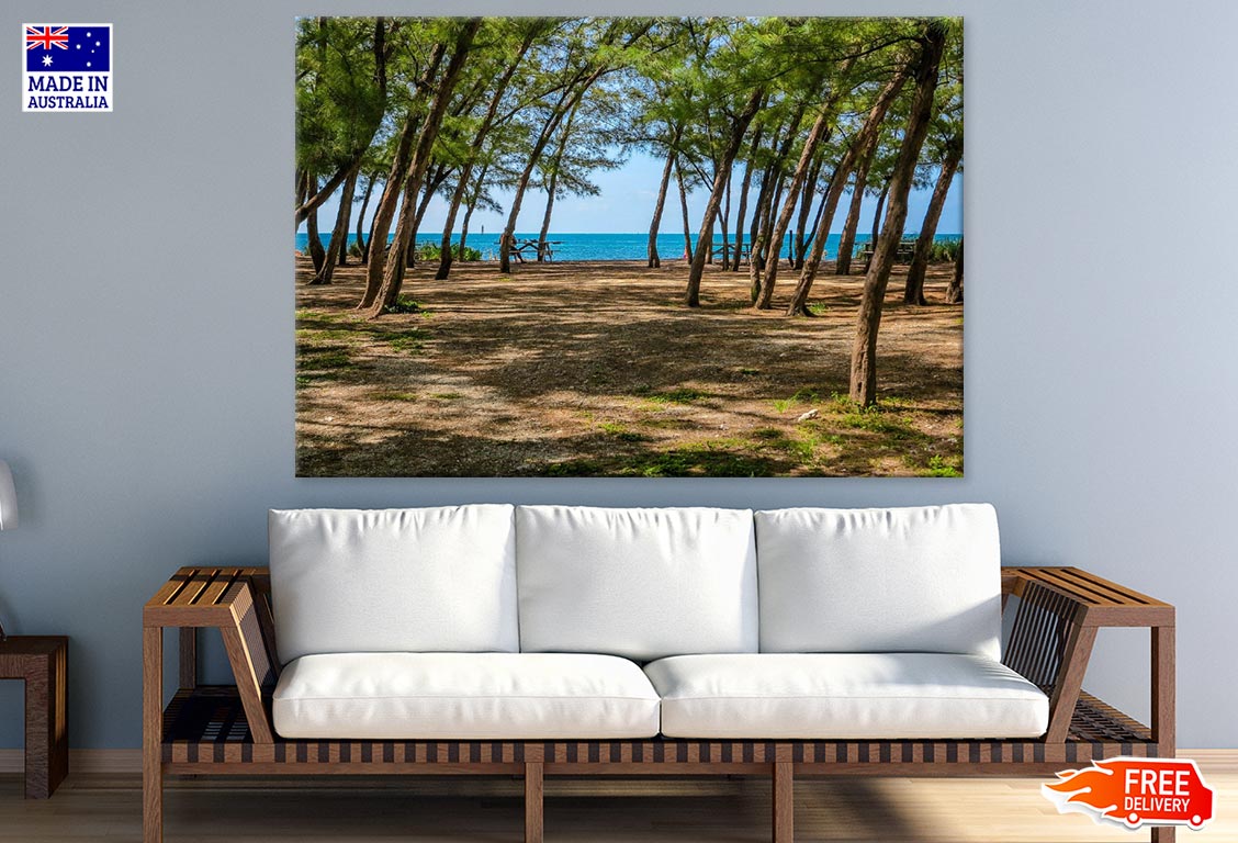 Trees Near Sea Photograph Print 100% Australian Made