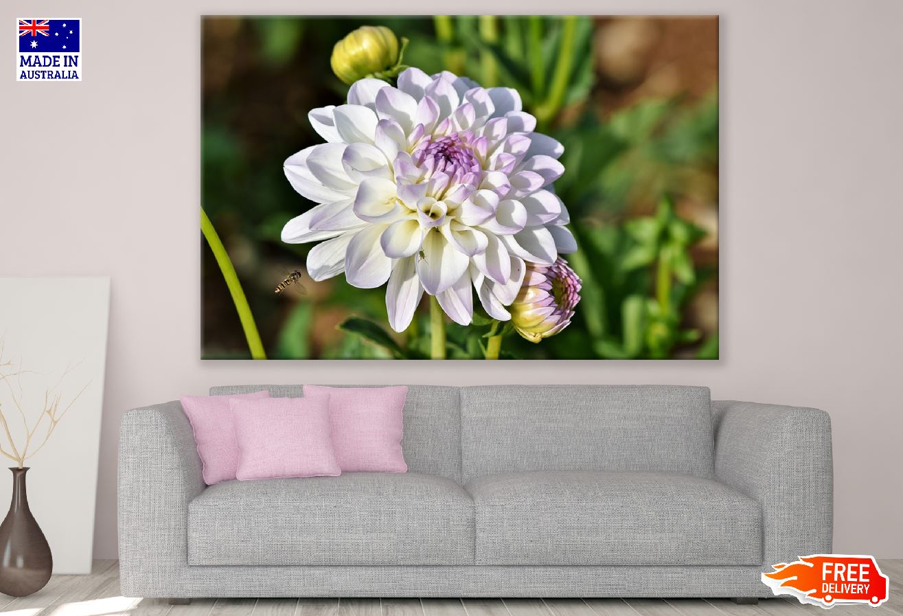 White Dahlia Flower with Plant Photograph Print 100% Australian Made